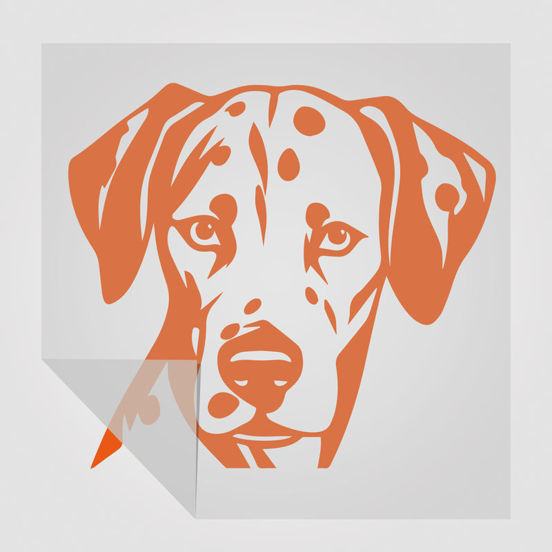 Dalmatiner Hunde Sticker 2 StickyWorld Exclusive | Foliensticker