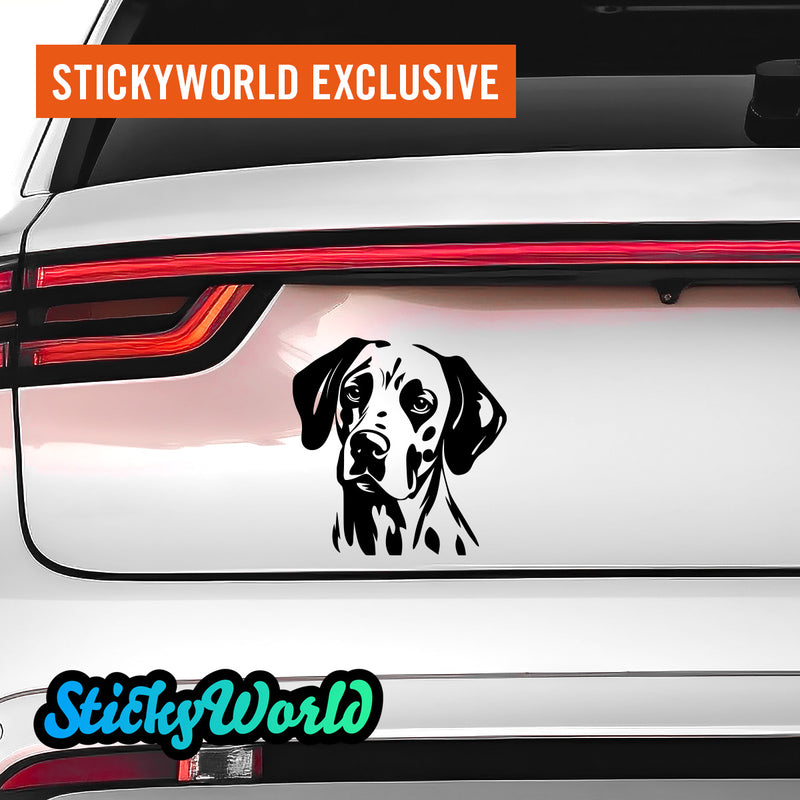 Dalmatiner Hunde Sticker 3 StickyWorld Exclusive | Foliensticker