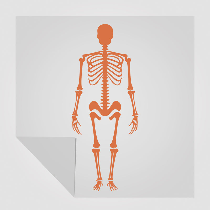 Skelett Sticker  Motiv 2 | Foliensticker